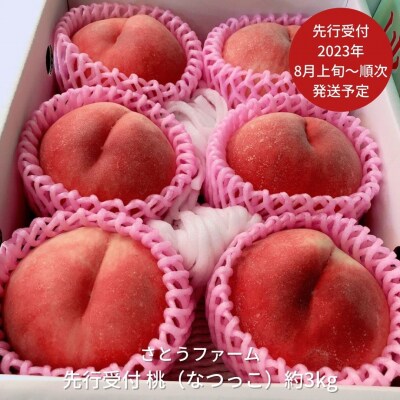 先行受付 桃(なつっこ)3kg [2023年発送予定] 新潟県産 桃【014S009】 | ふるさと納税のお礼品