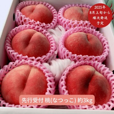 先行受付 桃(なつっこ) 3kg [8月上旬から発送予定] 新潟県産 桃 【014S009】