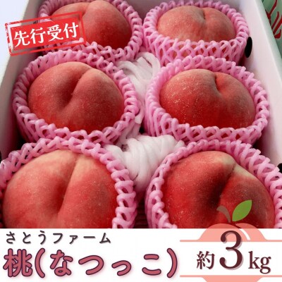 先行受付 桃(なつっこ) 3kg 令和8年度 新潟県産 桃 [さとうファーム]【014S009】