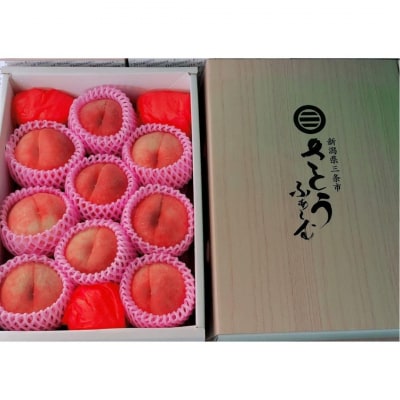 先行受付 桃(なつっこ) 3kg 令和8年度 新潟県産 桃 [さとうふぁ～む]【014S009】