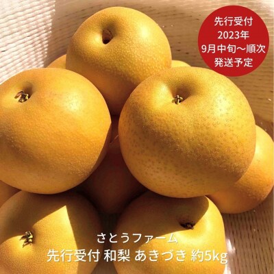 先行受付 和梨 あきづき 5kg [2023年発送予定] 新潟県産 梨【014S011】