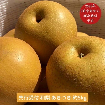 和梨 あきづき 5kg 新潟県産 梨【014S011】