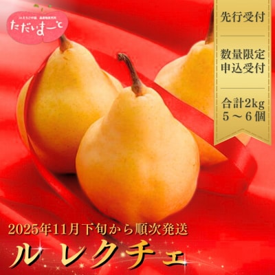 【2025年産先行受付】ル レクチエ 2kg (5～7個) 洋梨 令和7年度【010S139】