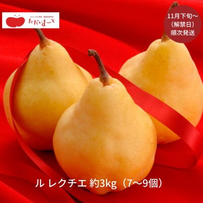 ル レクチエ 3kg(7～9個) 洋梨 新潟県産 ル・レクチェ 【015S021】 | ふるさと納税のお礼品
