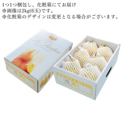 [2026年産先行受付] ル レクチエ 3kg 令和8年度 洋梨 新潟県産 【015S021】