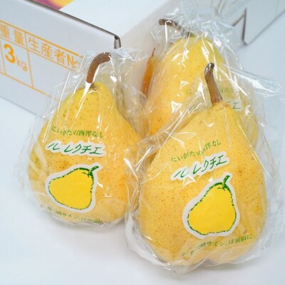 [2026年産先行受付] ル レクチエ 3kg 令和8年度 洋梨 新潟県産 【015S021】