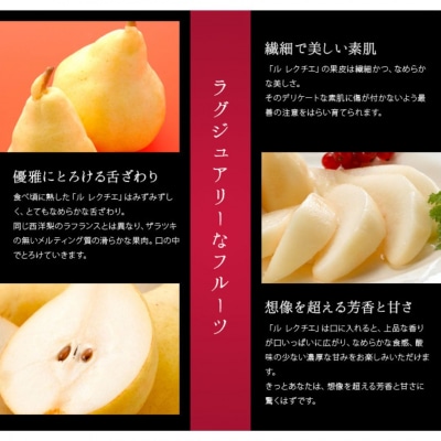 ル レクチエ 3kg(6～11個) 洋梨 新潟県産 ル・レクチェ 【015S021】