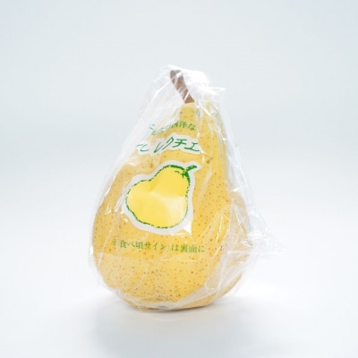 ル レクチエ 4kg(7～12個) 洋梨 新潟県産 【019S025】