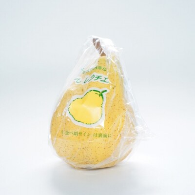 [2026年産先行受付] ル レクチエ 4kg 令和8年度 洋梨 新潟県産 【019S025】