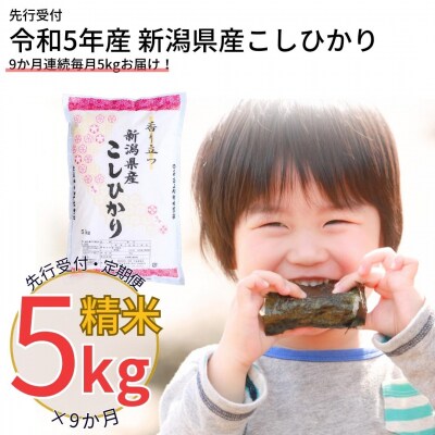 先行受付 [定期便] 新潟県産コシヒカリ 5kg9か月 精米 令和5年産 白熊【057S002】 | ふるさと納税のお礼品