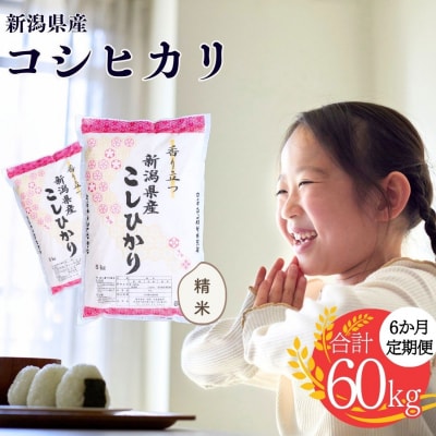 先行受付 産コシヒカリ 10kg