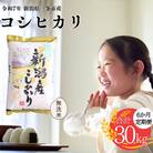 先行受付 [定期便] 無洗米 コシヒカリ 5kg6か月 三条市令和7年産 白熊【041S007】