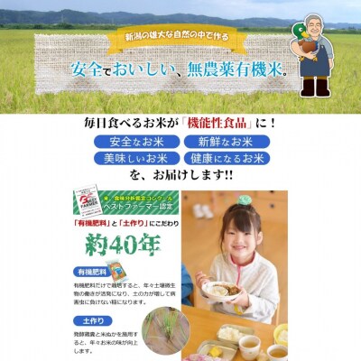 有機栽培米 ミルキークイーン 白米 10kg 佐藤農産有機センター【022S014】