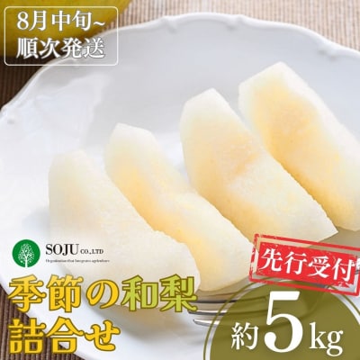 先行受付 季節の和梨詰合せ 約5kg [8月中旬から発送予定] 【016P043】