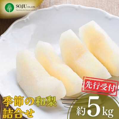 先行受付 季節の和梨詰合せ 約5kg [三条果樹専門家集団] 【016P043】