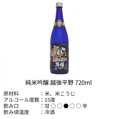 ☆数量限定☆ジャイアント馬場 日本酒 720ml×3本セット 純米吟醸 福顔酒造【022S016】