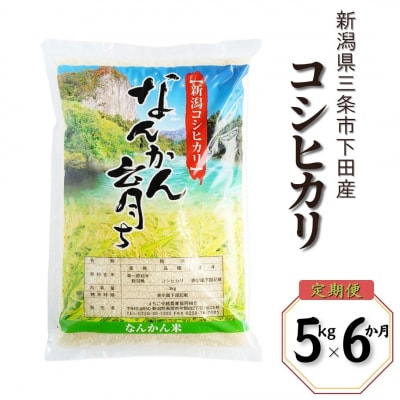 先行受付 [定期便 5kg×6か月] コシヒカリ 令和8年産米 新潟県三条市【043S005】