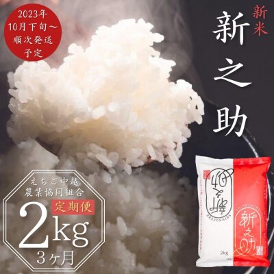 新米 [定期便 2kg×3か月] 新潟県産 新之助 計6kg 【013S026】 | ふるさと納税のお礼品