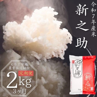 [定期便 2kg×3か月] 新潟県産 新之助 計6kg 令和7年産【013S026】