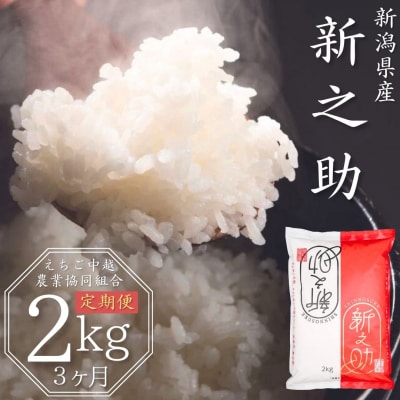 先行受付 [定期便 2kg×3か月] 新潟県産 新之助 計6kg 令和8年産【013S026】