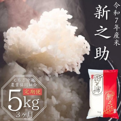 [定期便 5kg×3か月] 新潟県産 新之助 令和7年産 【030S020】