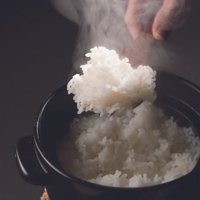 [定期便 2kg×6か月] 新潟県産 新之助 令和7年産 【025S013】