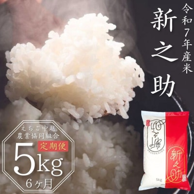 [定期便 5kg×6か月] 新潟県産 新之助 令和7年産 【060S004】