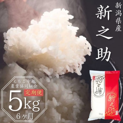 先行受付 [定期便 5kg×6か月] 新潟県産 新之助 令和8年産 【060S004】