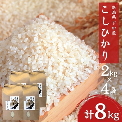 先行受付 コシヒカリ 8kg(2kg×4) 新潟県三条市下田産こしひかり 令和8年産 020S022