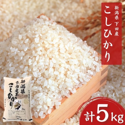 先行受付 コシヒカリ 5kg 新潟県三条市下田産こしひかり 令和8年産 【010S180】