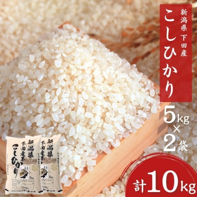 コシヒカリ 10kg(5kg×2) 新潟県三条市下田産こしひかり 【020S023】