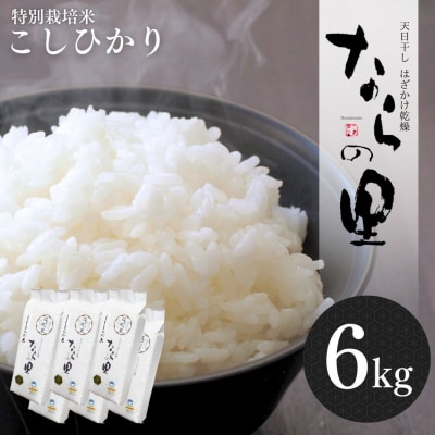 新米 新潟県産コシヒカリ 6kg (1kg×6) 特別栽培米 令和7年産米【020P096】