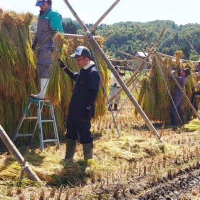 新潟県産コシヒカリ 6kg (1kg×6) 特別栽培米 令和7年産米【020P096】
