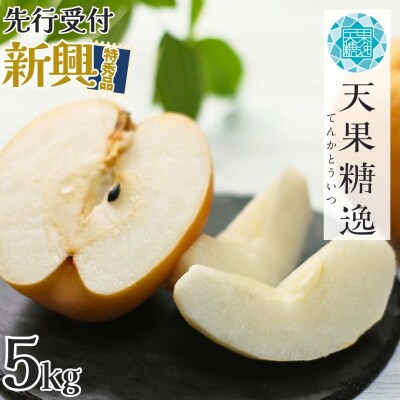 [2026年産先行受付] 和梨 新興 特秀品 約5kg 令和8年度 新潟県産 【013S032】