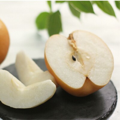 [2026年産先行受付] 和梨 新興 特秀品 約5kg 令和8年度 新潟県産 【013S032】