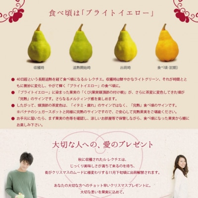 [2026年産先行受付] [規格を厳選] ル レクチエ 2kg 令和8年度 洋梨 【012S042】