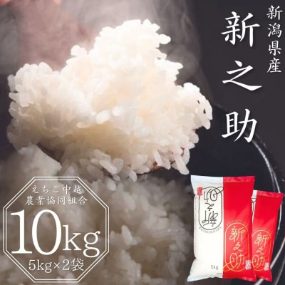 先行受付 新潟県産 新之助 10kg (5kg×2袋) 令和8年産 【020S024】