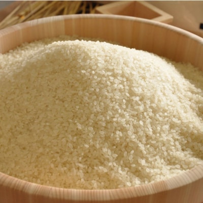先行受付 新潟県産 新之助 10kg (5kg×2袋) 令和8年産 【020S024】
