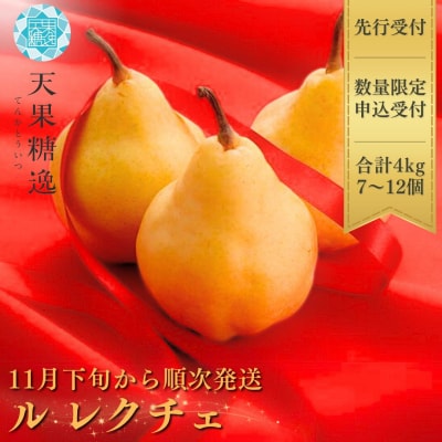 先行受付 [規格を厳選] ル レクチエ 4kg 洋梨 新潟県産 ル・レクチェ【020S026】