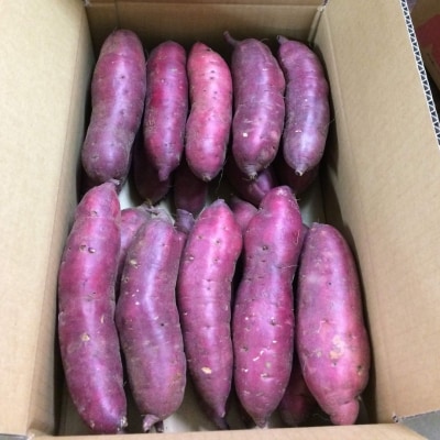 さつまいも 紅はるか 熟成 5kg「越紅(こしのくれない)」 【010S205】