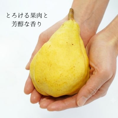 先行受付 ルレクチエ 自家用 約4kg 11月下旬～発送予定 石田フルーツガーデン【015S068】