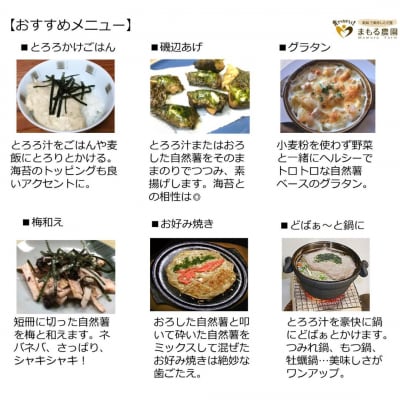 先行受付 自然薯 カットパック 約1.2kg(300g×4) 山芋 [まもる農園]【012P048】