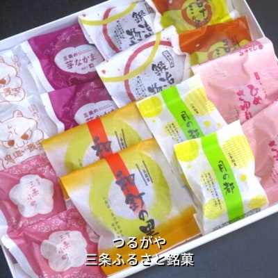 三条ふるさと銘菓 8種×各2個 計16個 [つるがや]【010S212】