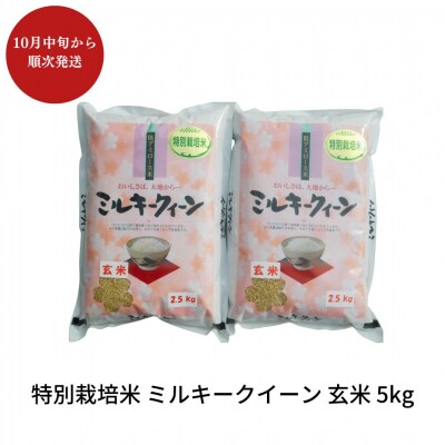 【先行予約】特別栽培米 ミルキークイーン 玄米 5kg 佐藤農産有機センター【010S226】