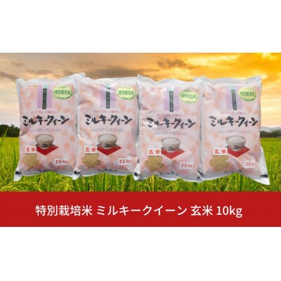 特別栽培米 ミルキークイーン 玄米 10kg  新潟県産 佐藤農産有機センター【017S019】