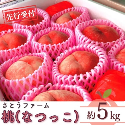 先行受付 桃 (なつっこ) 5kg 令和8年度 新潟県産 桃 [さとうファーム] 【020S029】