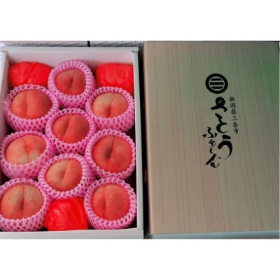 先行受付 桃 (なつっこ) 5kg 令和8年度 新潟県産 桃 [さとうファーム] 【020S029】
