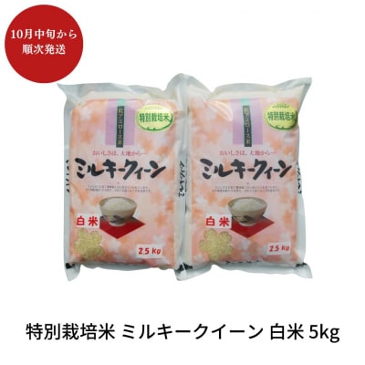 【先行予約】特別栽培米 ミルキークイーン 白米 5kg 佐藤農産有機センター【010S224】