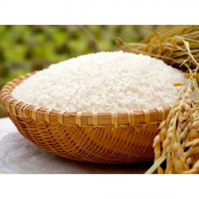 特別栽培米 ミルキークイーン 白米 5kg 佐藤農産有機センター【010S224】