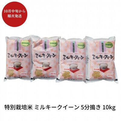 【先特別栽培米ミルキークイーン 5分搗き 10kg 新潟県産 佐藤農産有機センター【018S020】